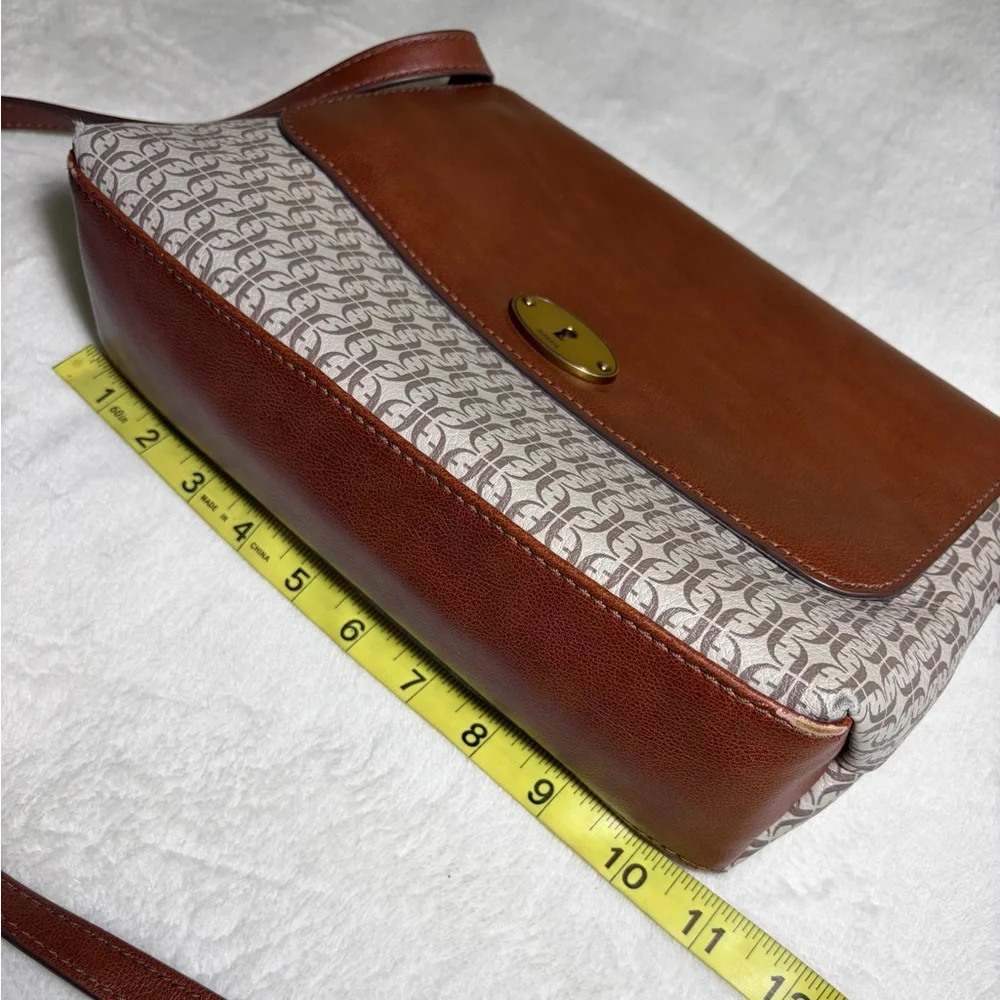 Fossil elegant brown